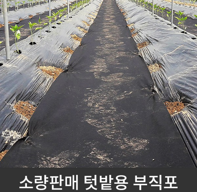 텃밭용 흑색부직포 잡초방지 물빠짐 소량판매, 1개
