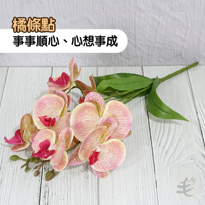 仿真蝴蝶蘭盆栽擺飾 情人節/新年/生日禮物 拍攝/攝影道具, 橘條點,淺藍中花瓶, 1個