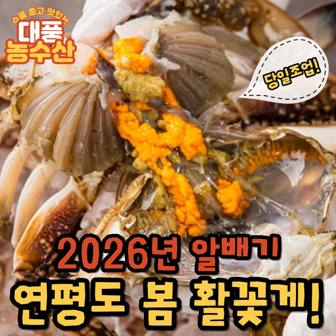 [당일배송] 100% 당일조업 봄 알배기 활 암꽃게 1kg(4~6미), 알배기 암꽃게, 3kg(12~18미)