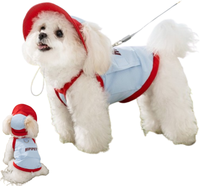 위드앤미 강아지 쿨링 조끼+모자 세트, 1세트, 스카이블루