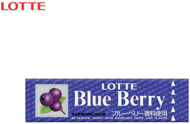 일본 틀니껌 롯데 치아에 잘 붙지 않는 껌 블루베리 9개입 15개