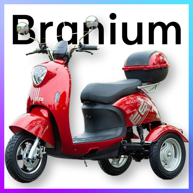 브라늄 힘좋은 듀얼쇼바 삼륜 오토바이 세발 전기 스쿠터 리튬배터리, 레드, 60V 20A (70km)