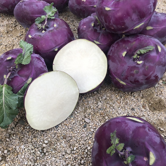 [재구매1위] 당일수확 산지직송 제주 콜라비, 1박스, 3kg