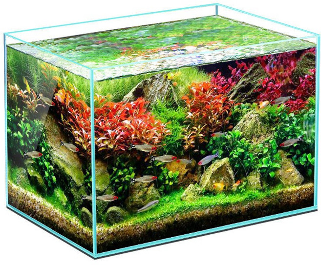 수족관 고화질유리어항 어항, 1개, 흰색