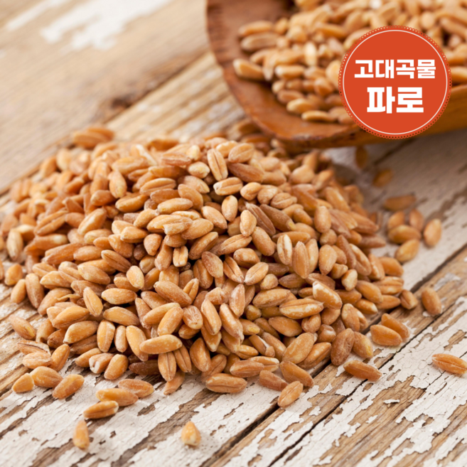 금빛농산 파로 곡물 파로밥 파로쌀 FARRO 엠머밀, 3개, 500g