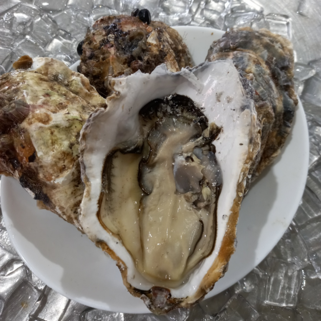 방금 조업한 통영 삼베체굴, 1박스, 2kg (4-8미)