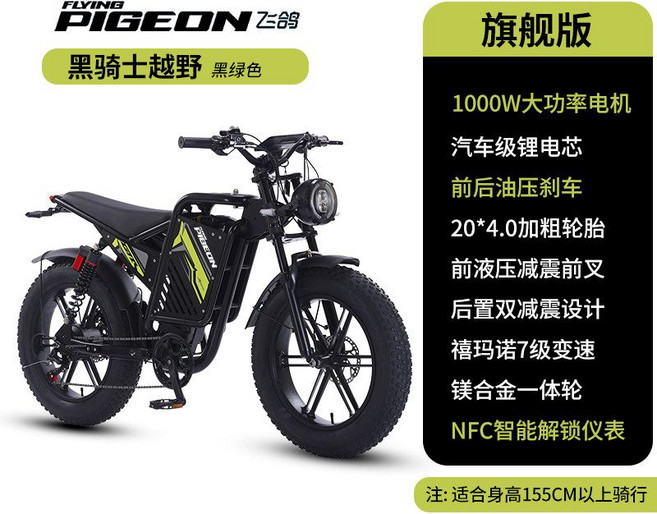 오프피전 전기자전거 자토바이 출퇴근용 배달용 2인승 48V 750w 1000w, 20인치, 1000W 그린블랙