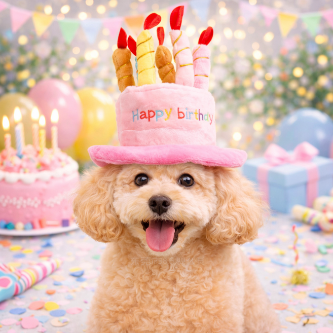 [푸들나무] 해피멍 케이크모자, 1개, 핑크