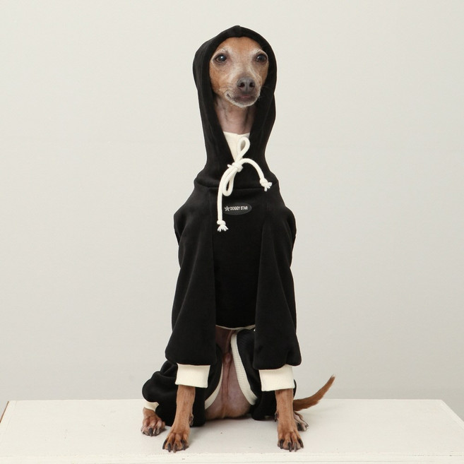 이탈리안그레이하운드옷 아이쥐옷 스판 벨벳 트레이닝 후드 올인원, 1개, 블랙