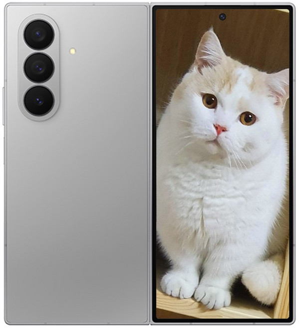삼성전자 갤럭시 Z 폴드7, 256GB, 실버 쉐도우 Silver Shadow 옵션