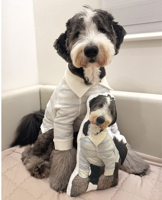 인형 포토 쿠션 커스텀 강아지 맞춤제작 미니 대형 반려동물 아이돌 고양이 입체 3D 사람, 흰색, 양면(동일사진)