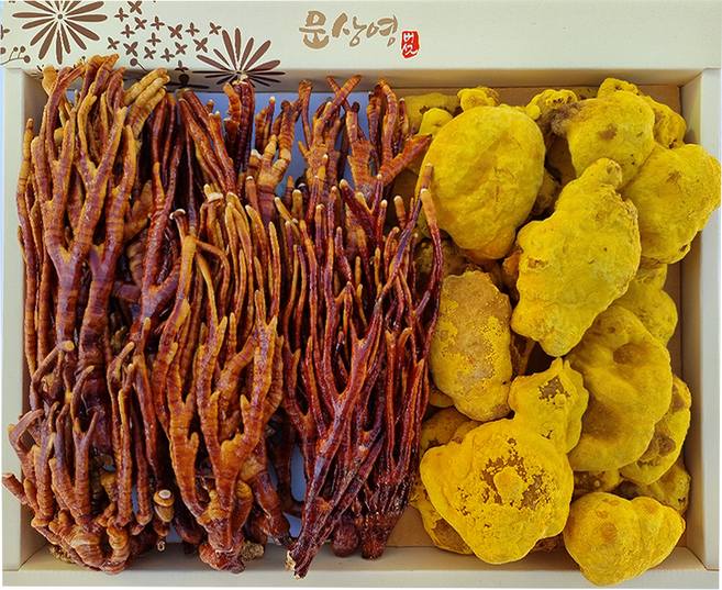 [문상영 버섯] 선물세트 혼합 유기농 상황버섯+무농약 녹각 영지버섯, 1