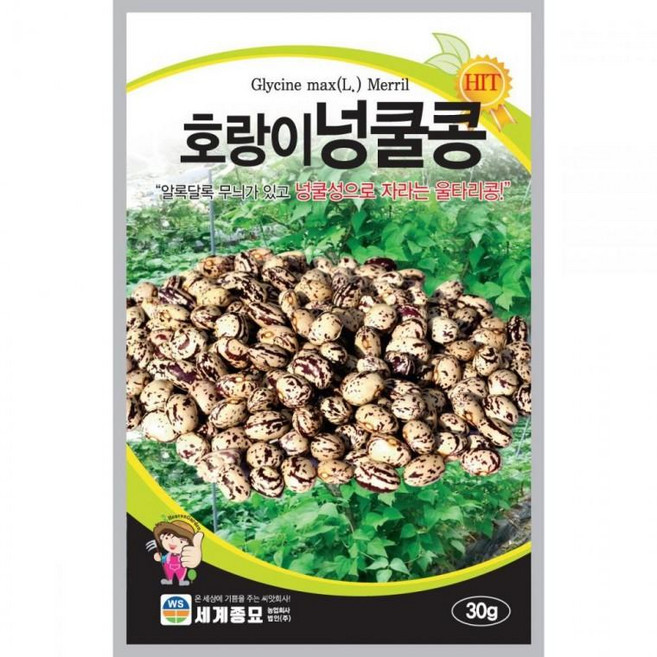 호랑이넝쿨콩 30g 씨앗