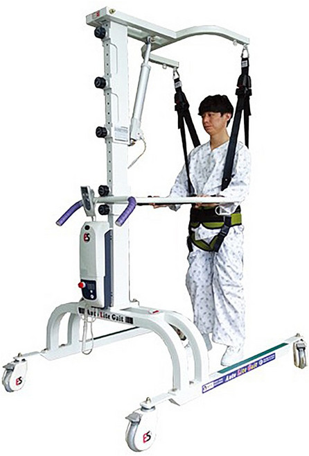 이지스텝 국내생산 보행훈련기 라이트게이트 탈부하보행훈련기 기립운동기, 옵션1 : 소아용/성인용, 1개