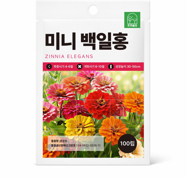 [주주씨앗] 미니백일홍 씨앗 100립 키작은 왜성 백일홍 종자 씨 봄 여름 가을 파종 오래피는 꽃씨 몰 키우기, 1개