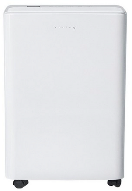 쿠잉전자 제습기 12L, Dhs-07W (화이트)