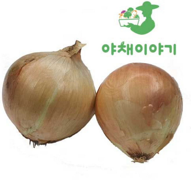 야채이야기 신선한 국내산 햇양파 2알, 1개, 500g