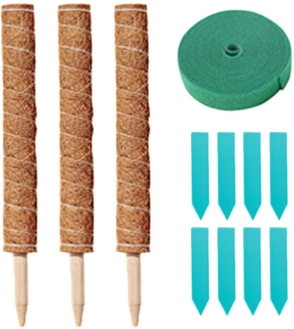 식물 수태봉 세트 50cm 화분 원예용 넝쿨 지지 수태 지주대 울타리 원예 화초 가드닝 용품 가든 화단 만들기, R99657B (3개입, 1세트