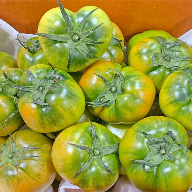 [재구매1등]허니삼구 단짠단짠 대저토마토 2.5KG내외 프리미엄 로얄과 대과, 1박스, 대저토마토(로얄과)2.5KG내외(3S-M)