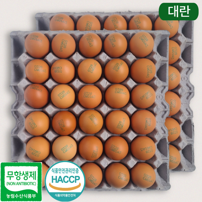 [제이피농장] 난각번호 3번 무항생제 계란 신선한 대란 HACCP, 1개, 60구
