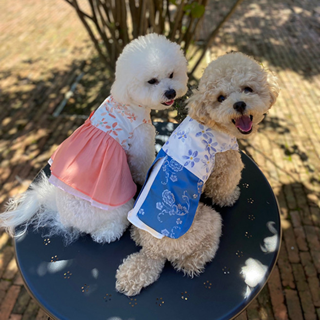 테이펫 강아지 고양이 개량 한복 S~3XL, 블루, 1개