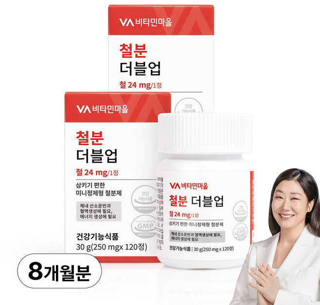 비타민마을 철분 더블업 미니 정제형 철분제, 120정, 2개