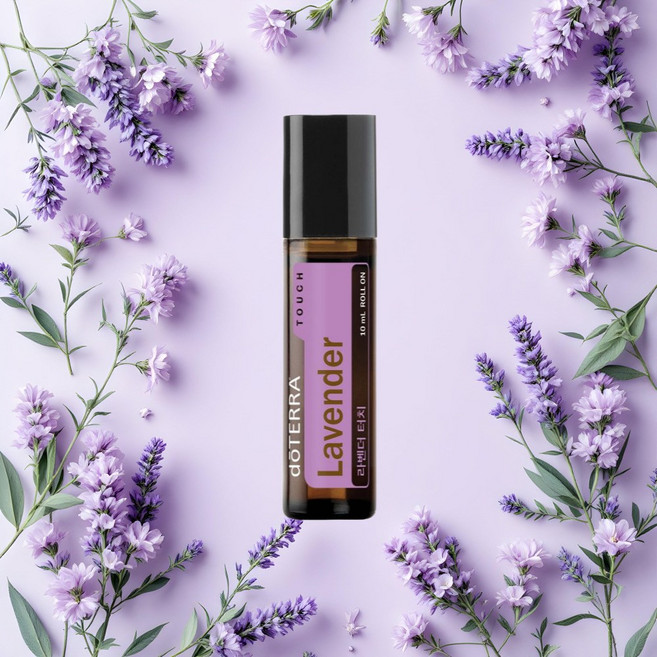 도테라 라벤더 터치 10ml, 1개