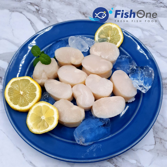 [피시원] 국내산 키조개관자(소) 350g (13-16미)냉동, 1개