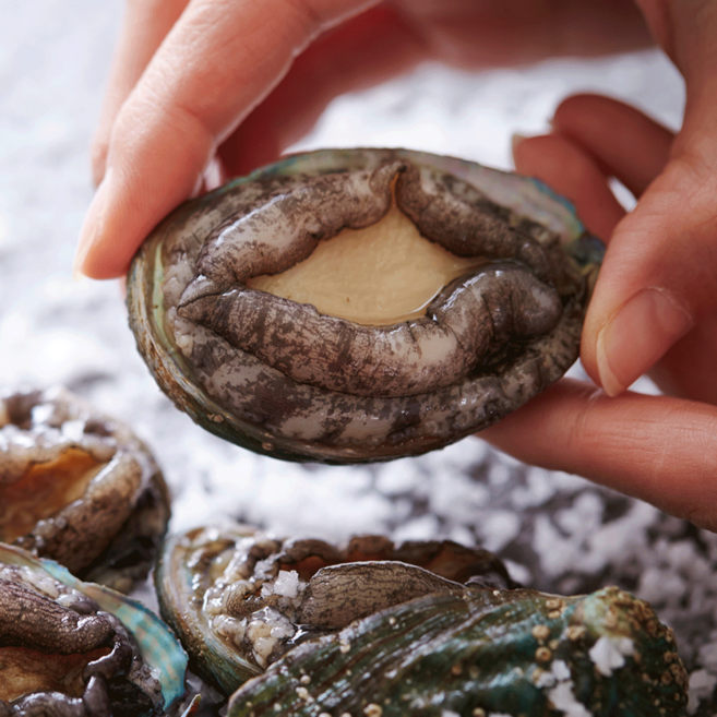 완도전복 1kg 40-70마리 꼬마전복 애기전복 미니전복 볶음전복 조림전복 벌크전복 전복요리 손질칼 손질솔 증정 산지직송 직배송, 1개