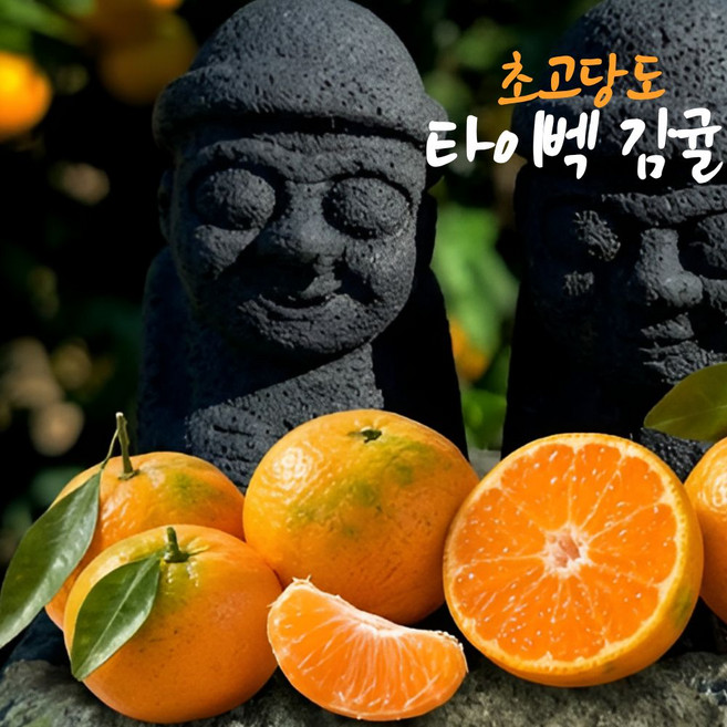 제주 최고12~14brix 타이벡 감귤 귤, 1박스, 3kg(로얄과)