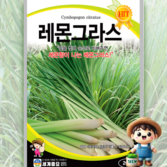 세계종묘 레몬그라스 20립 일반종 레몬향 식용꽃 허브 꽃씨 씨앗 종자 세계, 1개