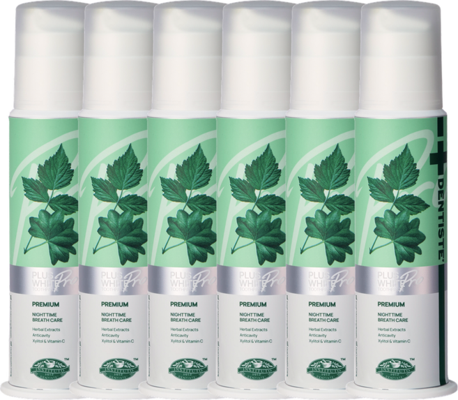 덴티스테 플러스화이트 프로 펌프형 치약, 170g, 6개