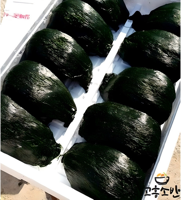 고흥 비단 찰진 매생이 최상급 산지직송 개별진공포장, 10개