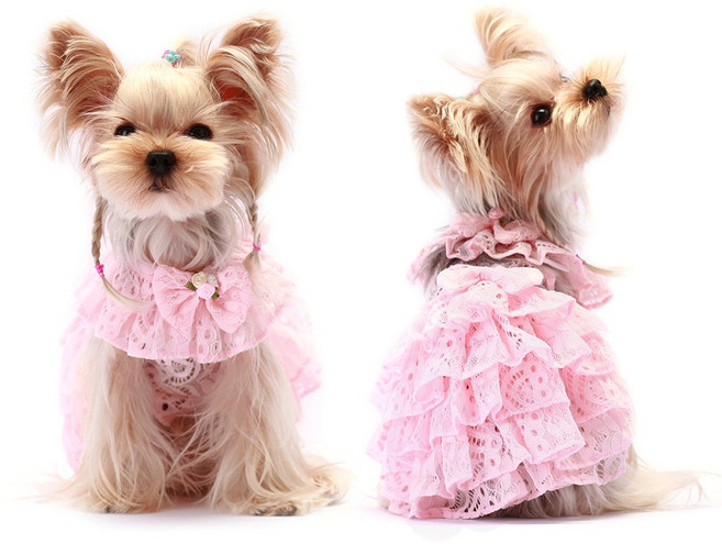 앨리스디 레이스 핑크 강아지옷 애견 의류 드레스, 03.M사이즈213303, 1개