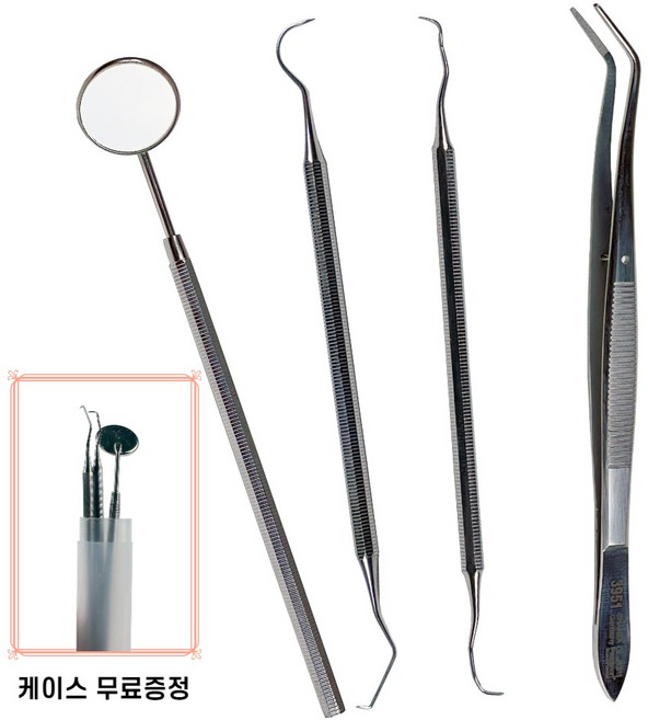 태리 셀프 의료용 구강 스텐 치석제거기 샤프+블런트+치경+치과핀셋 세트 사은품 케이스 증정, 1세트