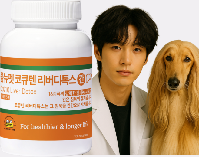 대형견 강아지 간 영양제 간수치 개선 해독 코큐텐 CoQ10 올뉴펫 리버디톡스 프리미엄 보조제 60캡슐, 1개, 간+장건강, 60정