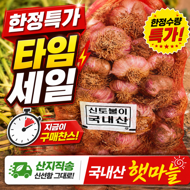 (정품) 노씨고집 유명산지 국산 햇 마늘, 1개, 1kg (중대 혼합과)