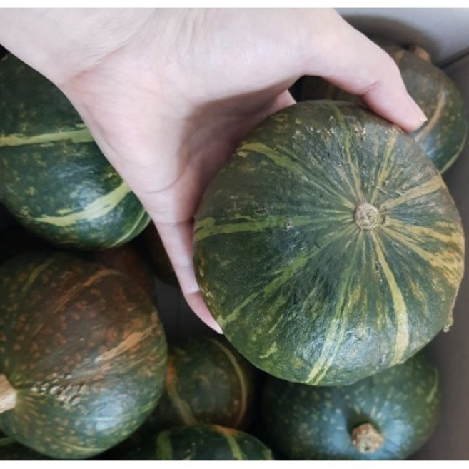 달콤하고 부드러운 식감 국내산 미니 단호박 밤호박, 1박스, 5kg