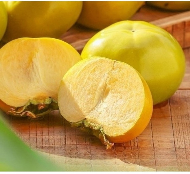 동명 못난이 고당도 제철 단감 가정용 대용량, 1kg