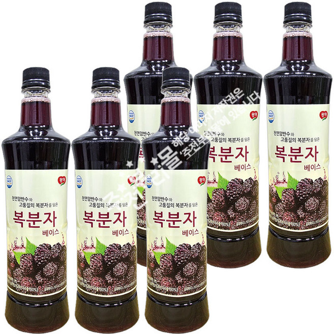 광야 늘감사 복분자 베이스 복분자감식초, 970ml, 6개