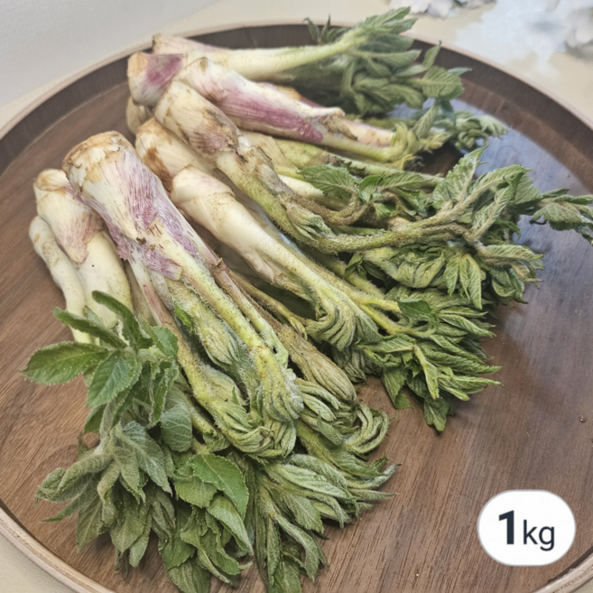 [고니네농수산] 강원도 봄내음 땅두릅 최상품, 1박스