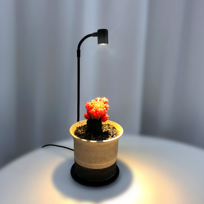 식물전파사 데스크 식물등 집중형 식물조명 식물등led, 1개, 전구색