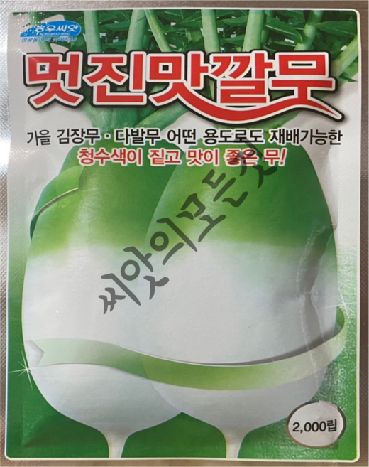멋진맛깔무 김장무씨앗 2000립 김장무우청수색이 짙고 맛이좋은 가을무 햇종자 농우, 1개