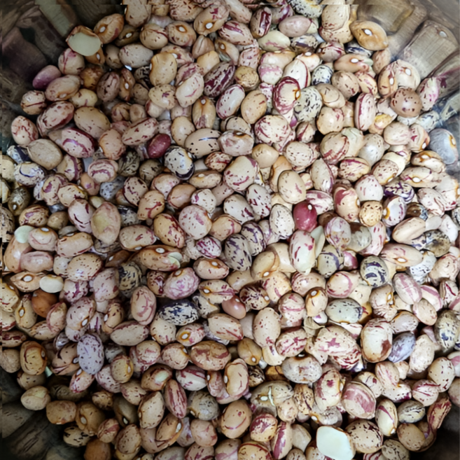 [국산] 남해 햇 건조 호랑이콩 포슬포슬 말랑말랑 영양만점 말린 호랑이 콩, 1개, 1kg