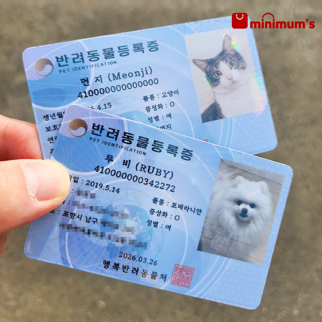 반려동물 등록증 강아지 고양이 신분증 민증 댕댕이 냥이 신분증 주민등록증 카드 사진, 1개, 기본