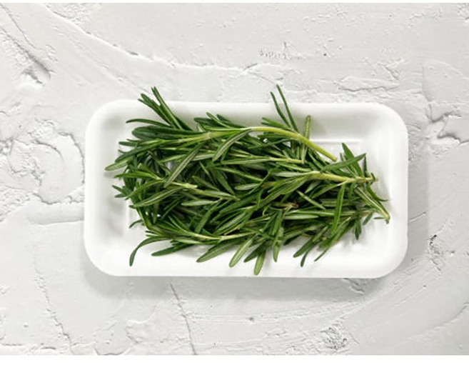 야채이야기 신선한 로즈마리 생잎 10g 식용 허브, 1개