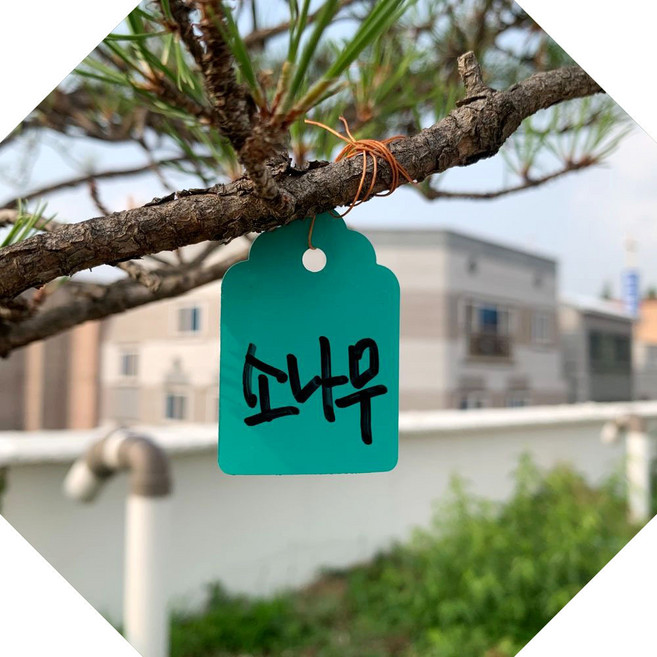 끈 걸이형 식물 이름표 100개 중 정원 가꾸기 관리 식별 장식 태그 표시 용품 라벨 정