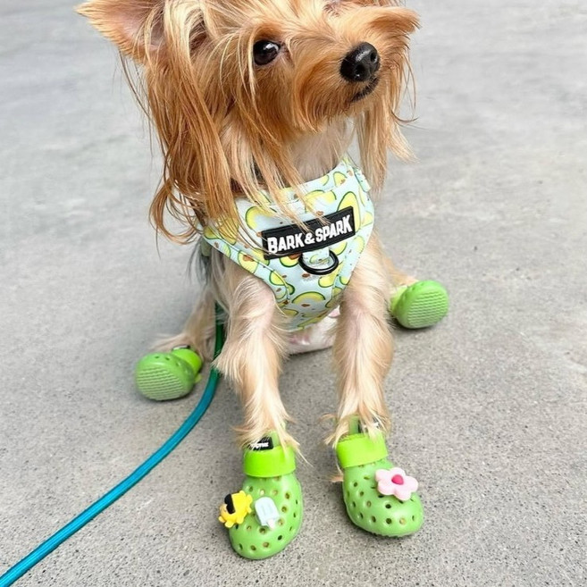 [한국공식총판] 와그웨어 모하비 와그웰리스, 1개, 퍼플