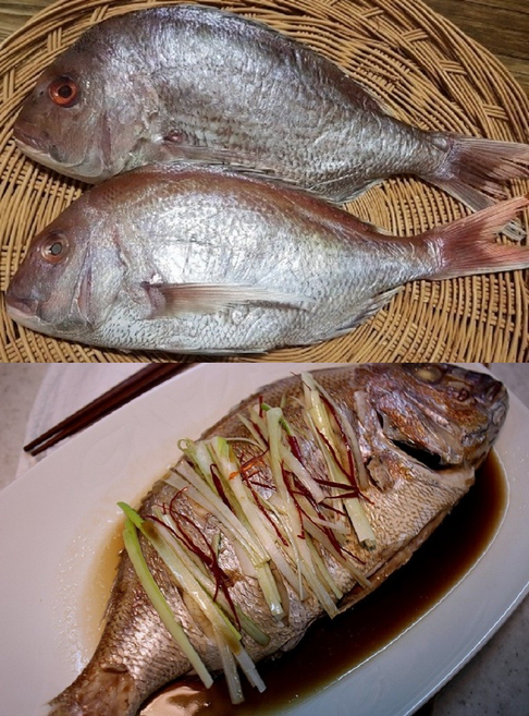 동해바다 국내산 참돔 도미 선물세트 제수용품 5마리(마리당30cm내외), 2개, 참돔5마리