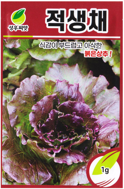 성우 적생채 씨앗 1g 아삭이 상추 종자 생채씨 키우기, 1개